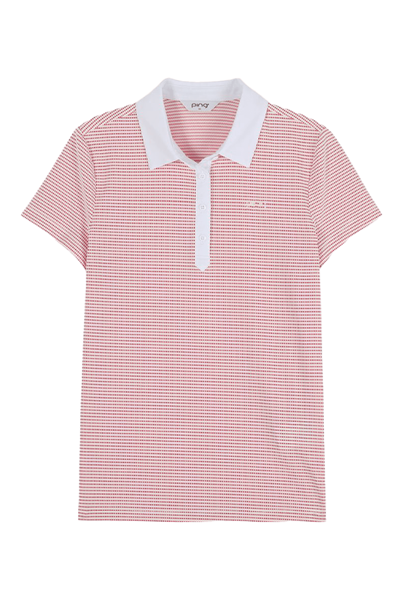 베이직 카라 배색 디테일 반팔 티셔츠