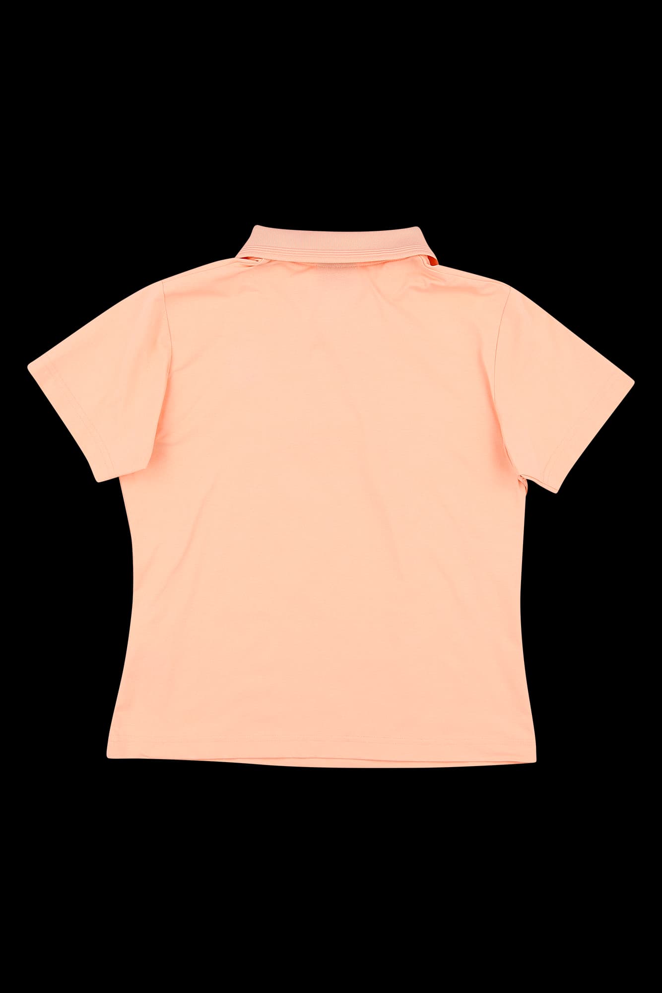 자수 프린팅 카라 반팔 티셔츠