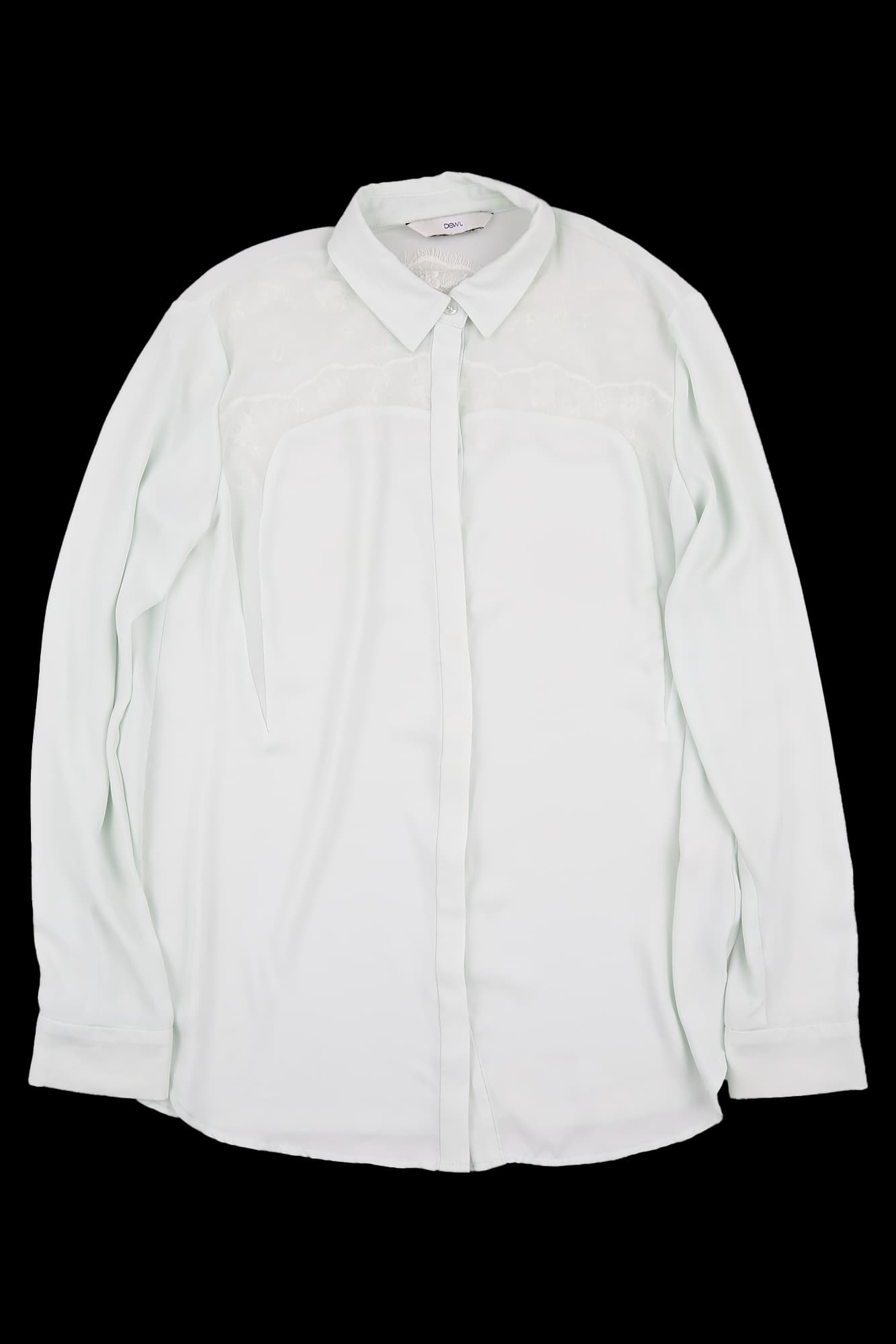 시스루 카라 블라우스