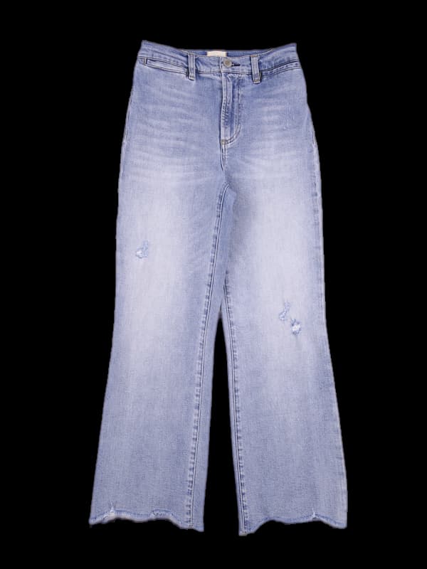 디스트로이드 진