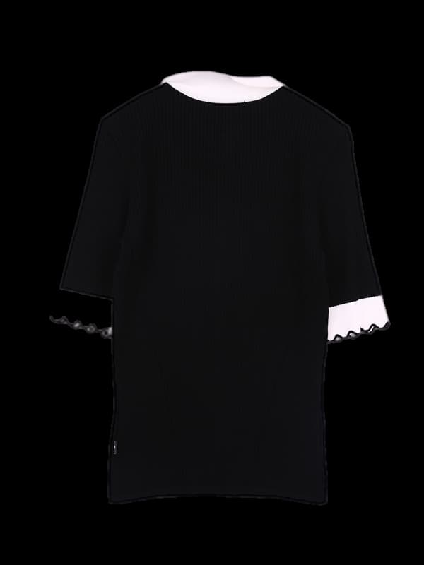 배색 카라 니트